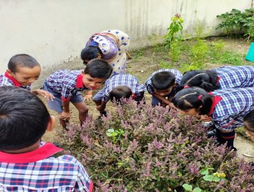सूंघ कर जानना