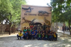 excursion