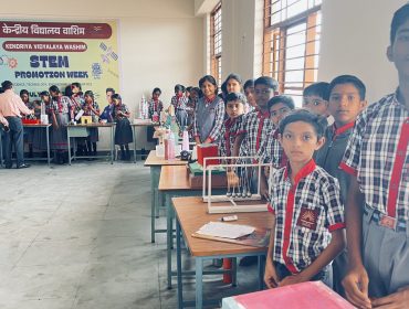 stem 7