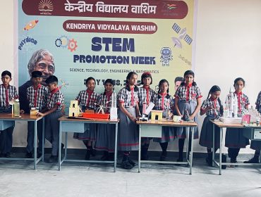 stem 1