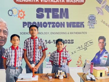 stem 8
