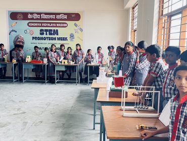 stem 1