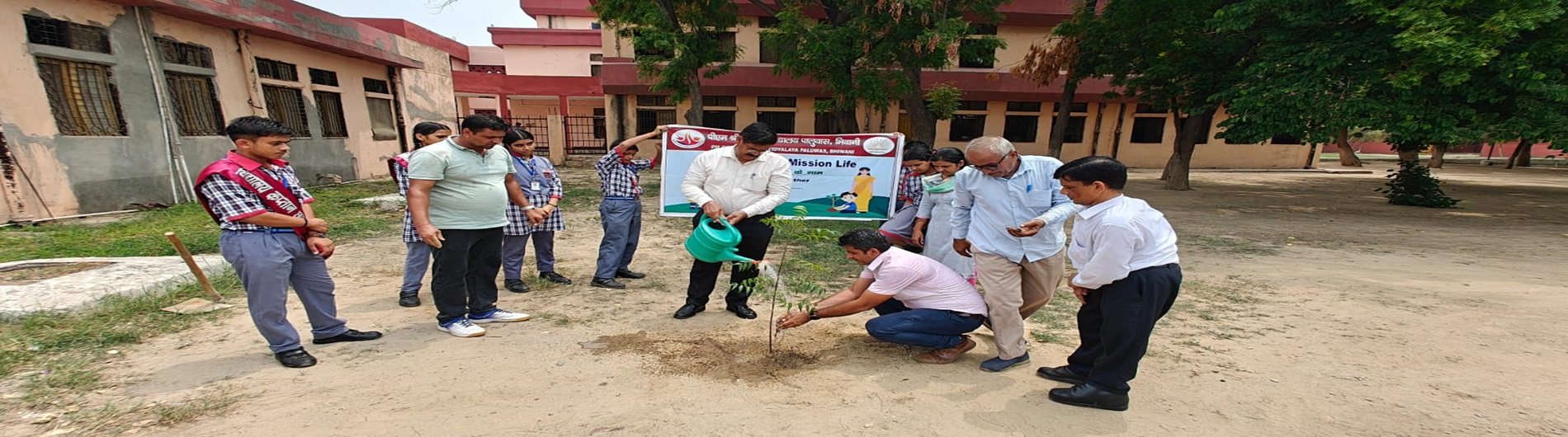 plantation by deputy commissioner