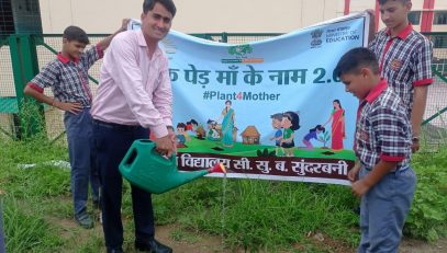 एक पेड़ माँ के नाम