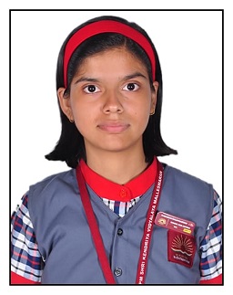 राजनंदिनी
