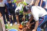 Plantation