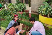 Gardening