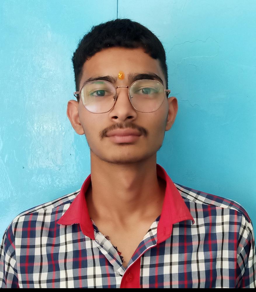 विवेक बोरा