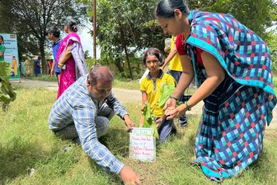 सामाजिक सहभागिता