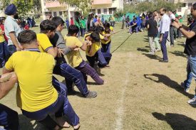 2025110377