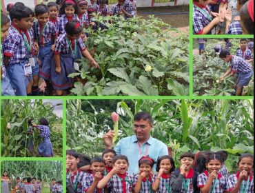 agriculture- learn by doing
