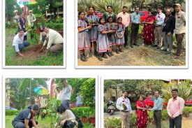 सामाजिक सहभागिता