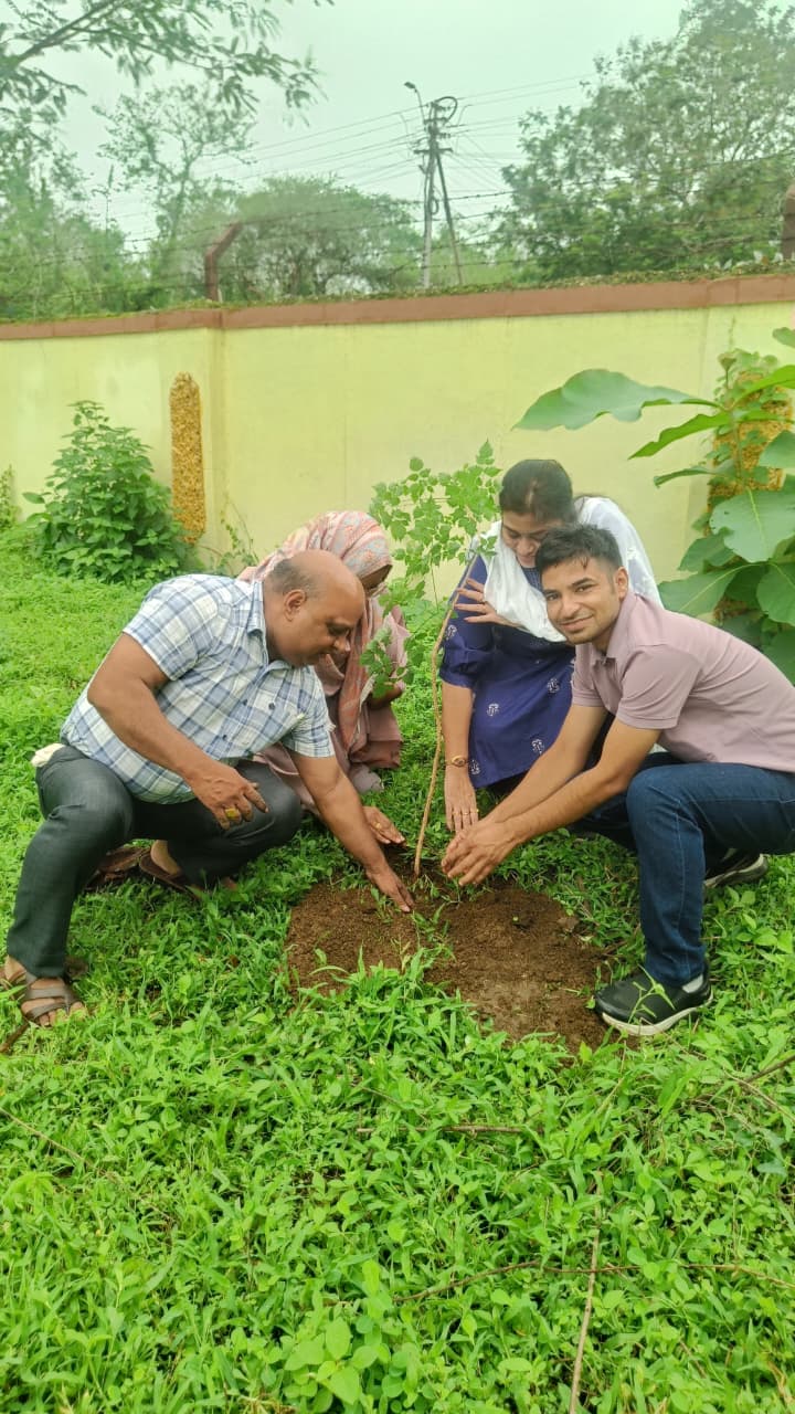 Tree Plantation 1
