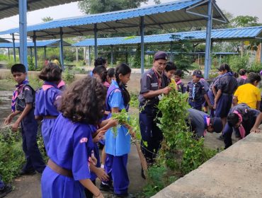 SCOUT and GUIDE ACTIVITIES 02