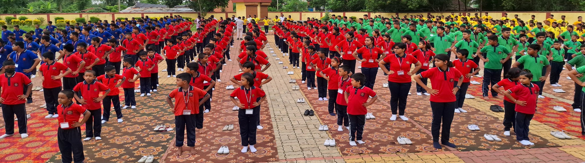 International Yoga Day