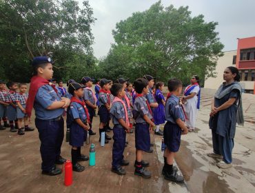 Scouts & Guides 7