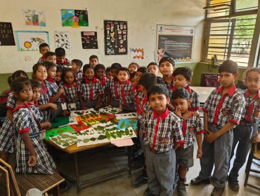 Primary Teaching