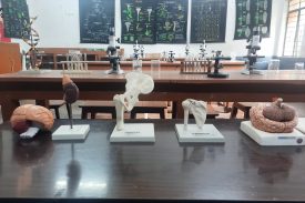 Biology lab