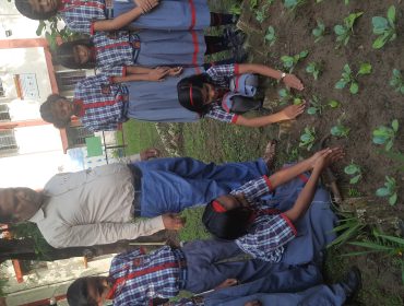 वृक्षारोपण गतिविधि