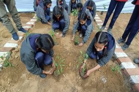 सामाजिक सहभागिता