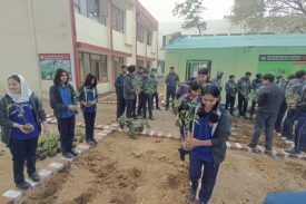 KITCHEN GARDEN