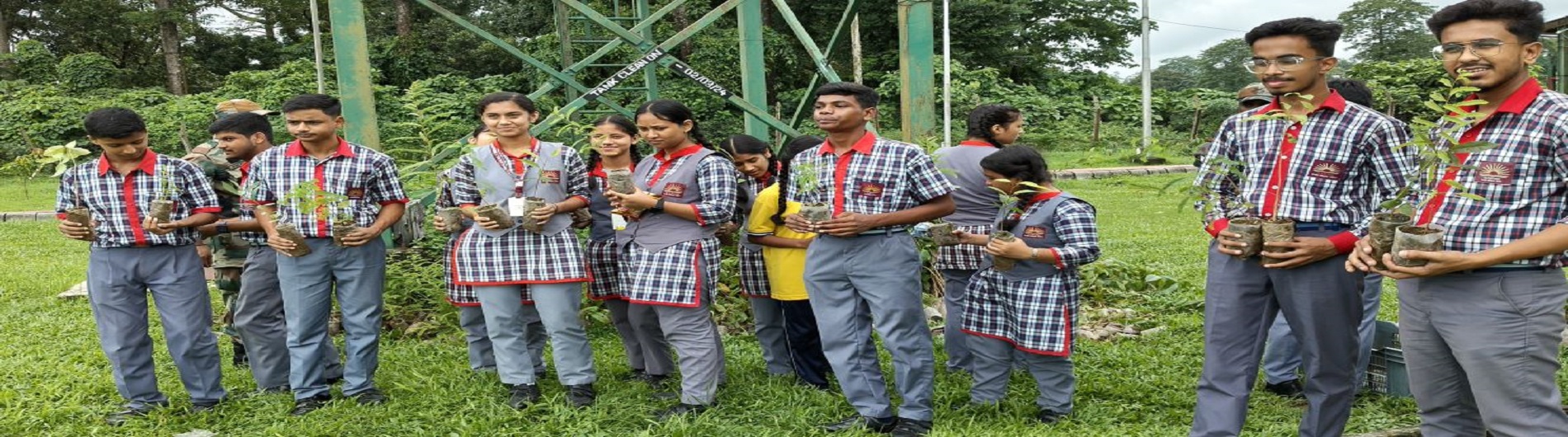 Tree Plantation