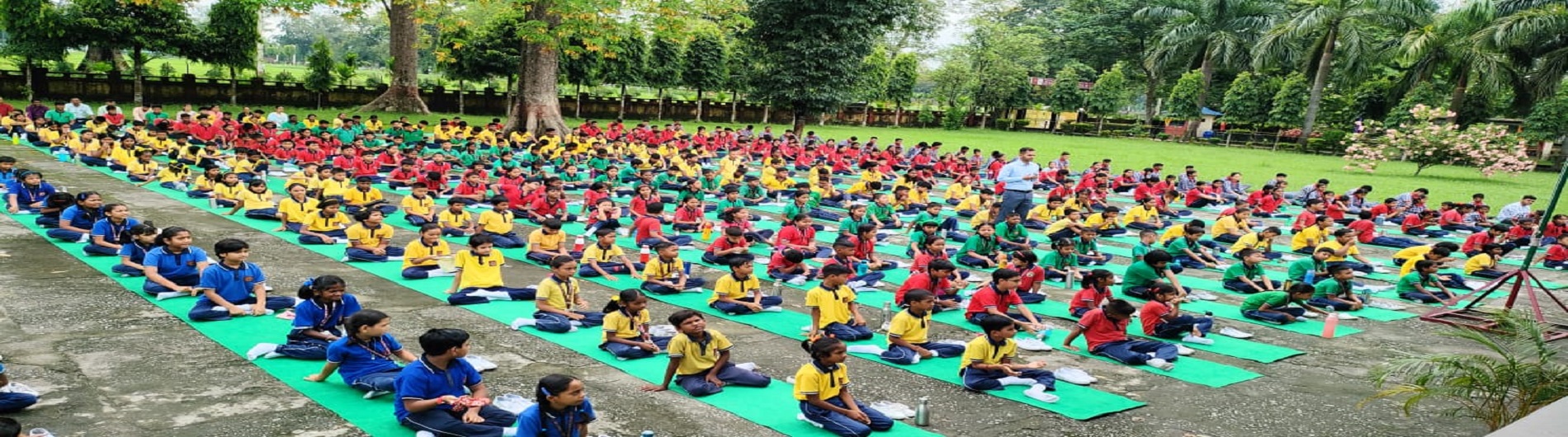 International Day of Yoga