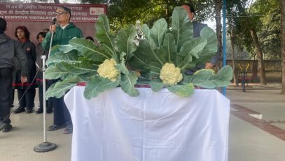 CAULIFLOWER
