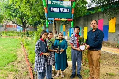 Plantation Drive