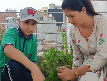PLANT1