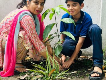 PLANT4