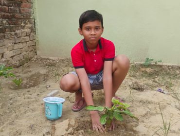 PLANT3