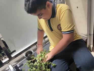 PLANT8 – Copy