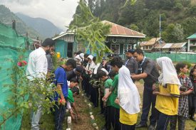 PLANTATION DRIVE