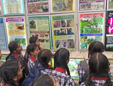 Field Trip to AFRI 2024