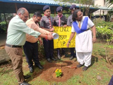 वृक्षारोपण (फूल वाले पौधे)