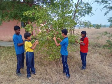 Indian Language Festival Week