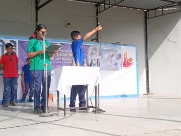 STEM (19)