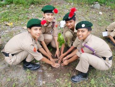 Tree Plantation NCC Team