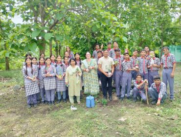 Tree Plantation Harela Parv