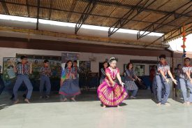 Spic Macay Program