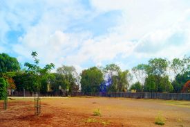 School Playground