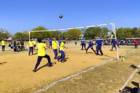 Volleyball field activity