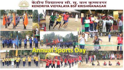Annual Sports Day