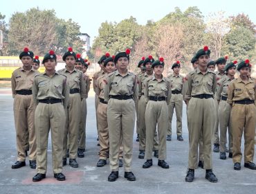 ncc (7)