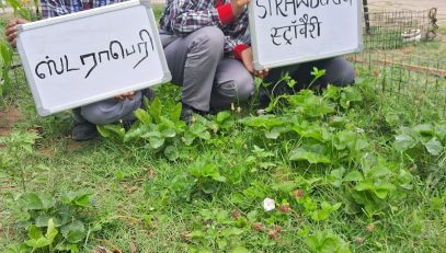 Ek Bharat Shrestha Bharat program was organized in the school