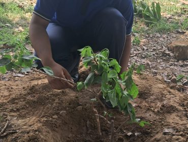 WORLD ENVIRONMENT DAY 2025