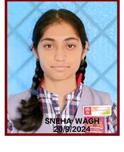 student name