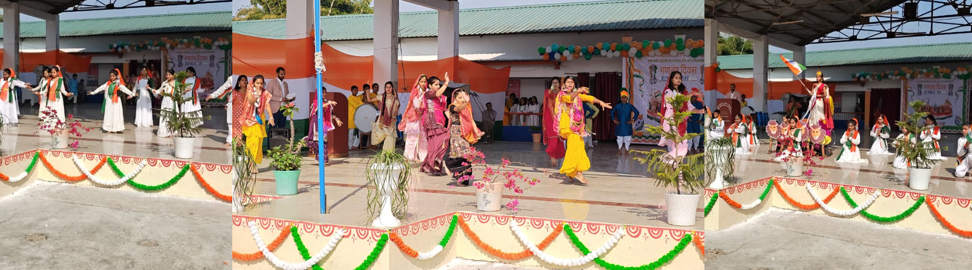 REPUBLIC DAY COLLAGE