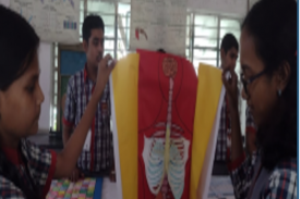 Science exhibition